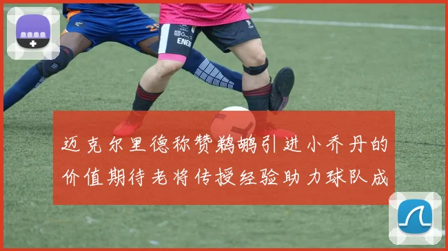 迈克尔里德称赞鹈鹕引进小乔丹的价值期待老将传授经验助力球队成长