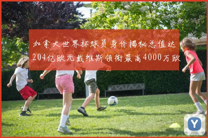 加拿大世界杯球员身价揭秘总值达204亿欧元戴维斯领衔最高4000万欧